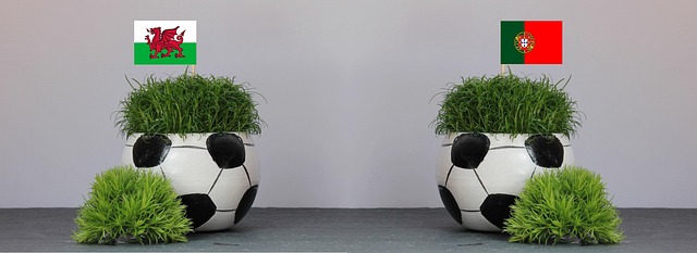 2026歐國盃足球投注推薦：西班牙王朝再現？